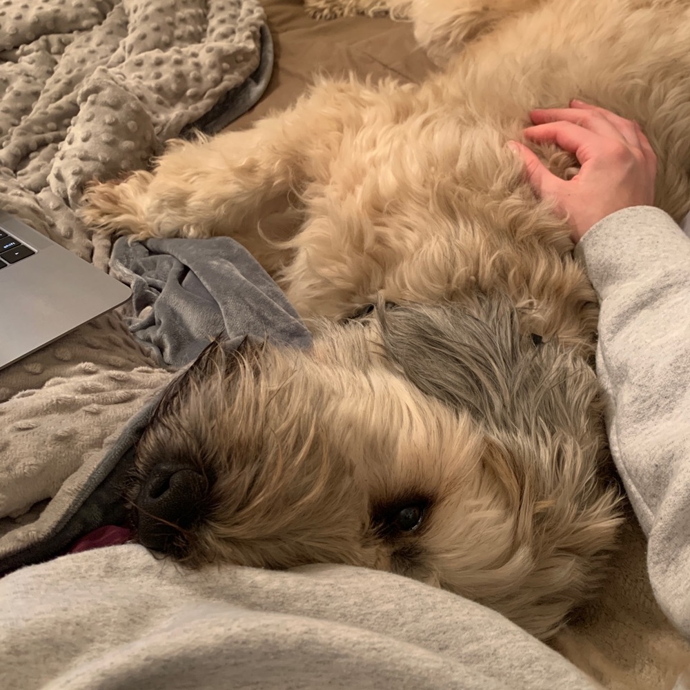 Meet your Posher, Grace